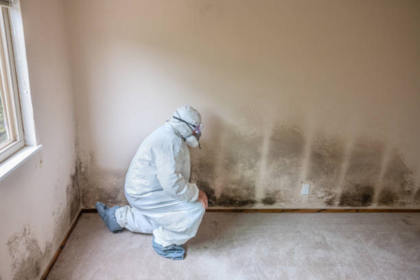 Best Certified Mold Removal  in Blair, WI