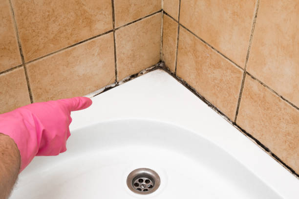 Best Mold Cleaning Services  in Blair, WI